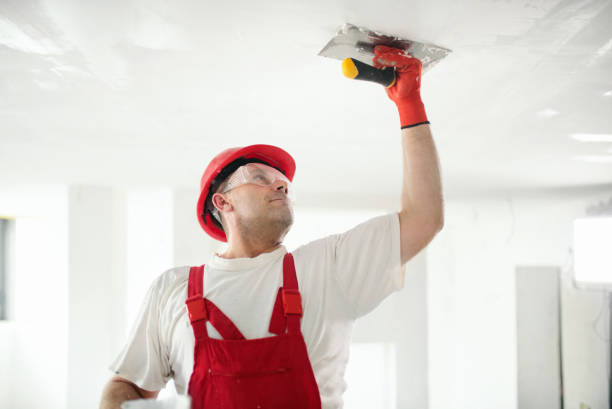 Best Drywall Removal and Disposal  in Forest Heights, MD